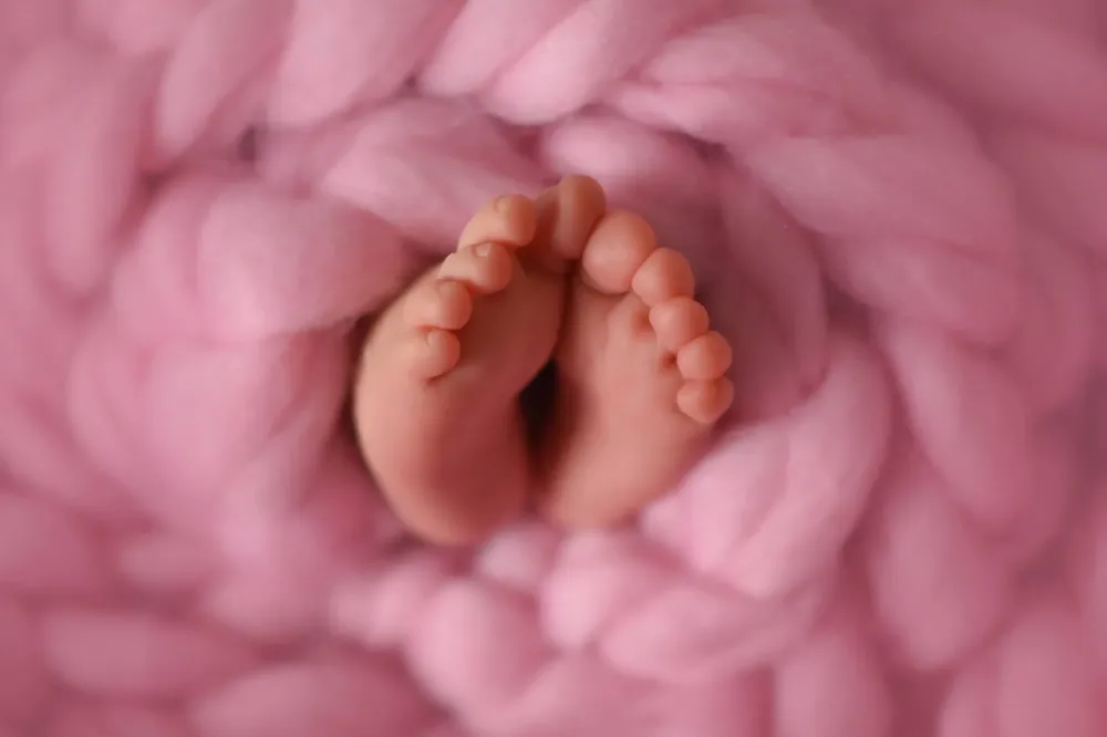 Zoom image presentation (6)